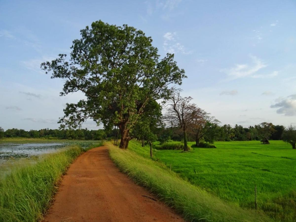 Visu Villa Habarana Esterno foto